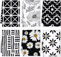 Sunnyray 6 Pcs Kitchen Towels Dish Cloths Nature Modern Absorbent Hand Tea Wash by Sunnyray