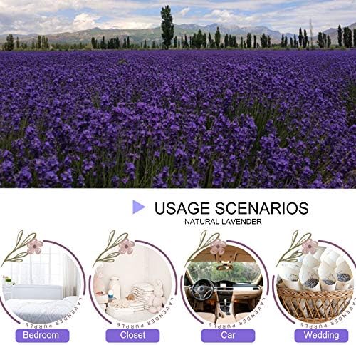 Dried Lavender Flowers, Dry Lavender Buds Bulk - Image 4