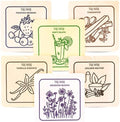 Scented Sachets for Drawer and Closet Freshener by TRUMIRI
