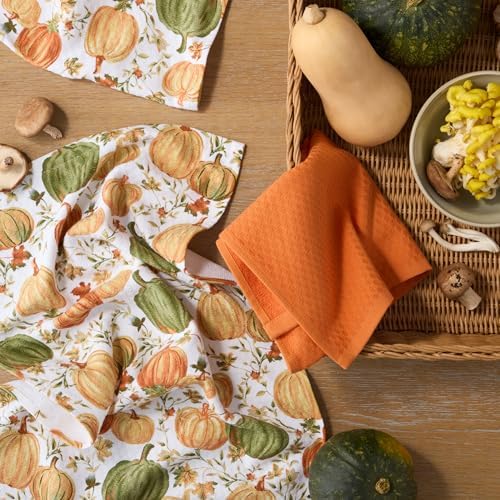 Martha Stewart Autumn Harvest Pumpkins Kitchen Towel 3-Pack Set, 100% Cotton - Image 2