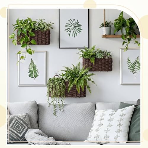 3 Pcs Wall Hanging Baskets, Paper Cord - Image 5