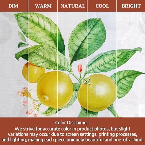 Maison d' Hermine Kitchen Towels Set of 3 Reusable 100% Cotton 27.50" x 20" - Image 6