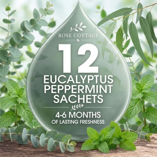 Large 12 Packs Eucalyptus Peppermint Hanging Scented Sachets Long-Lasting - Image 6