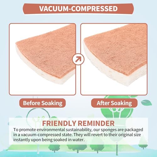 Natural Dish Sponge 24 Pack, Non-Scratch Scrub Sponge, Eco Multipurpose Kitchen - Image 3