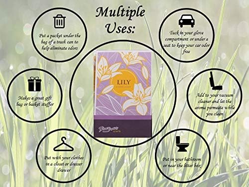 Lily Scented Sachets Pack of 6, Spring and Summer - Image 3