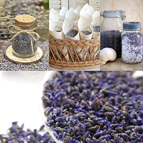Dried Lavender Flowers, Dry Lavender Buds Bulk - Image 6