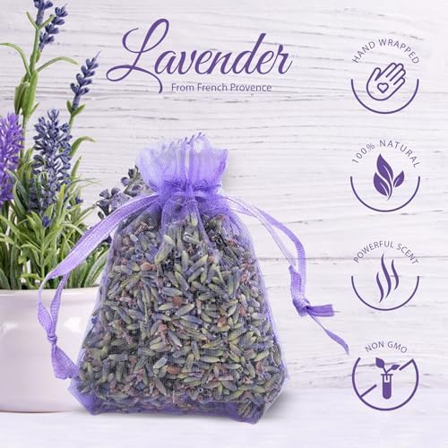 OLILLY - Premium Lavender Sachets from Provence France – 12 Natural Dried - Image 4