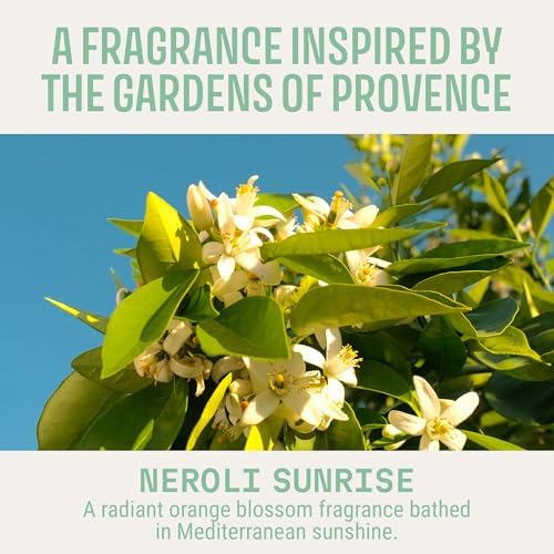 Panier des Sens Orange Blossom Neroli Scented Sachets, 1 oz - Image 2