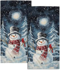 Winter Snowman Hand Bath Towel 2 Packs 28x14 inch Xmas Snow Snowflake Red Bird by Granbey