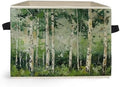 Modern Abstract Birch Tree Storage Box Bins, Decor by Unknown