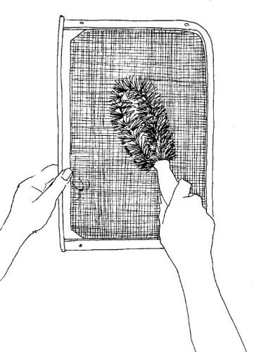 BRUSHTECH Clothes Dryer Lint Screen Brush - Image 4