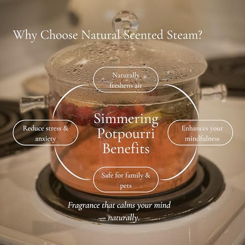 Fresh Start Simmering Potpourri – Energizing Aromatherapy - Image 3