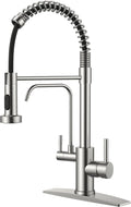 FORIOUS Kitchen Faucet with Purfied Water Filter, 2 Handle, Brushed Nickel | by FORIOUS