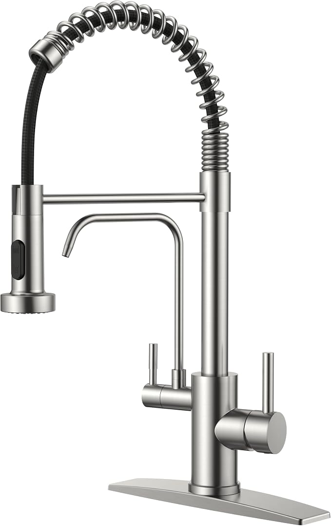 FORIOUS Kitchen Faucet with Purfied Water Filter, 2 Handle, Brushed Nickel | by FORIOUS