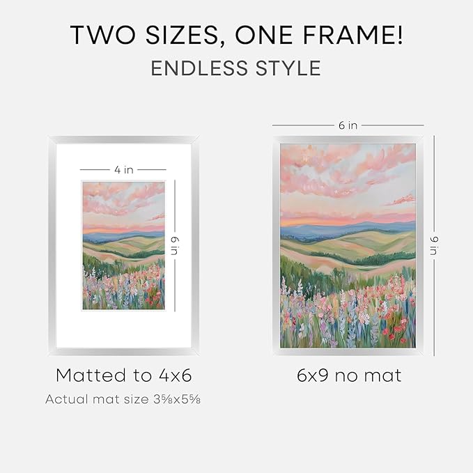 Homeforia Silver Photo Frame 6x9, High End Metal 6 x 9 Silver Picture Frames with Mat 4 x 6, 6by9 Desk Frame Matted to 4x6 inch Print, 6 by 9 Wall or Tabletop Frames, Tempered Glass, Wall Kit, Set of 1