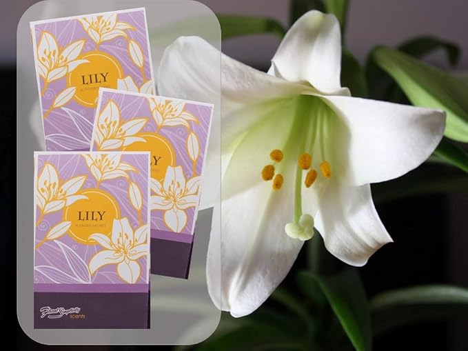 Lily Scented Sachets Pack of 6, Spring and Summer - Image 4