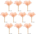 Ostrich Feather Duster 12 Inch Handheld Duster Supplies, Wooden Handle Feather by MehelloFeather