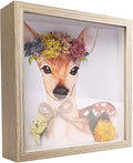 5x5 Small Shadow Box Frame Display Case, Wood with Plexiglass, Display Case Box for Memorabilia, Medal, Crafts,Tickets and Photos, Picture Frame for Wall and Tabletop (5x5, Natural Wood)