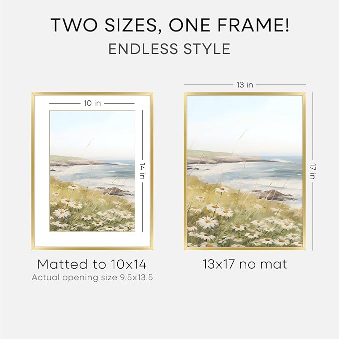 Homeforia 13x17 Picture Frame Gold, High End Metal 13x17 Poster Frames with Mat 10x14 Photo, 13 x 17 Gold Frame Matted to 10 by 14 Print, 17by13 Thin Hanging Frames, Tempered Glass, Wall Kit, Set of 2