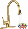 WEWE Brushed Gold Kitchen Faucet by WEWE