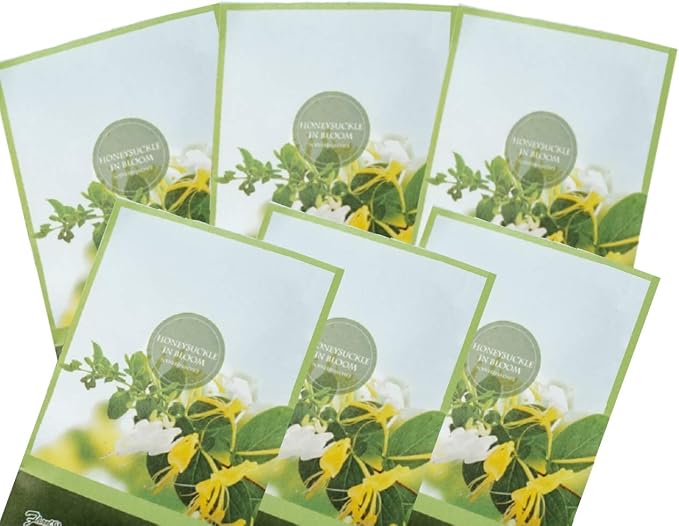 Honeysuckle Scented Sachets Pack of 6, Spring and Summer by FloralSimplicity