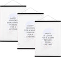 FALAMON 3 Pack Magnetic Poster Hanger Frame, 12x16 12x18 12x24 Magnet Poster Frame for Posters, Prints, Photos, Pictures, Maps, Scrolls, and Canvas Artwork (Black, 12")