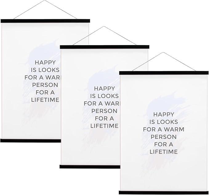 FALAMON 3 Pack Magnetic Poster Hanger Frame, 14x22 14x20 14x24 Magnet Poster Frame for Posters, Prints, Photos, Pictures, Maps, Scrolls, and Canvas Artwork (Black, 14")