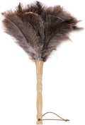Genuine Ostrich Feather Duster 15 inch | Natural Fluffy Reusable Real by Unknown