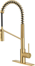 KRAUS Oletto Commercial Style Single Handle Pull Down Kitchen Faucet by Unknown