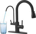 Black Kitchen Faucets with Water Filter and Pull Down Sprayer, Kitchen Sink by JOOM