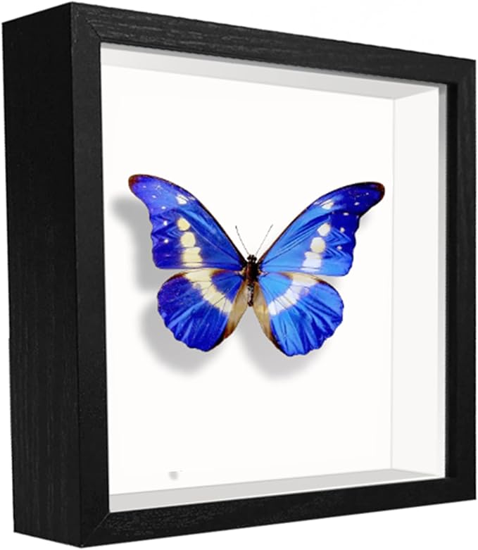 5x5 Small Shadow Box Frame Display Case, Wood with Plexiglass, Display Case Box for Memorabilia, Medal, Crafts,Tickets & Photos, Picture Frame for Wall and Tabletop (2pcs-Black, 5x5)