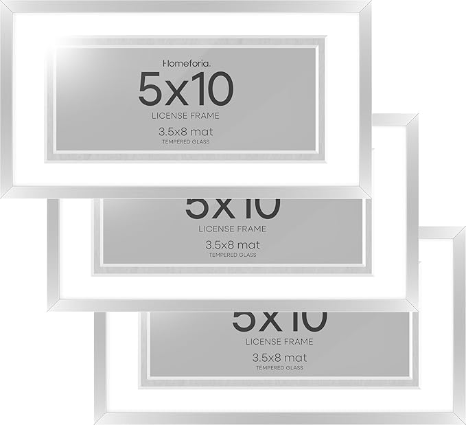 Homeforia 5x10 Business License Frame Silver, High End Metal 5 x 10 Document Certificate Frames with Mat 4x9, 5by10 Professional License Frames for Wall or Tabletop, Tempered Glass, Wall Kit, Set of 3