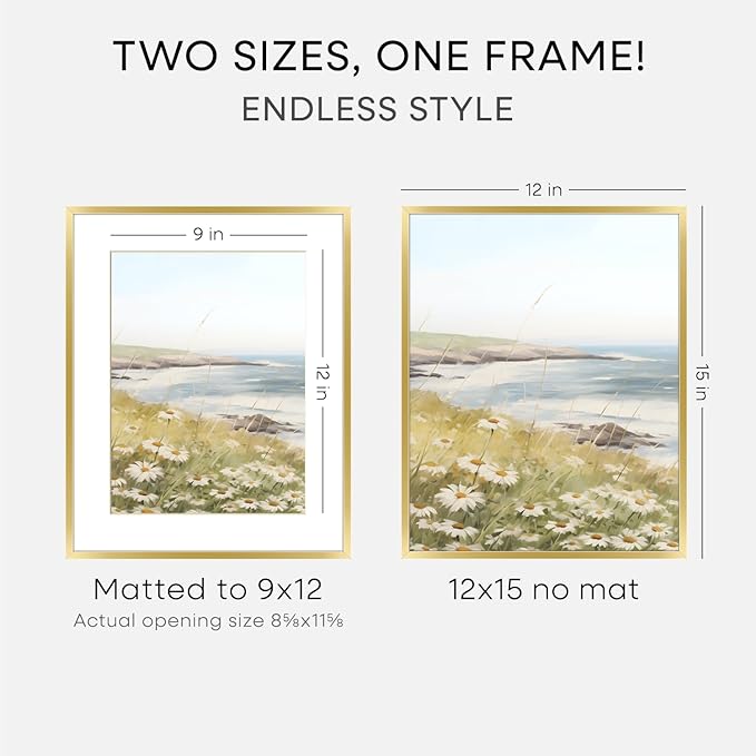 Homeforia 12x15 Picture Frame Gold, High End Metal 12x15 Poster Frames with Mat 9x12 for Photo, 12 x 15 Gold Frame Matted to 9 by 12 Print, 15x12 Thin Hanging Frame, Tempered Glass, Wall Kit, Set of 1