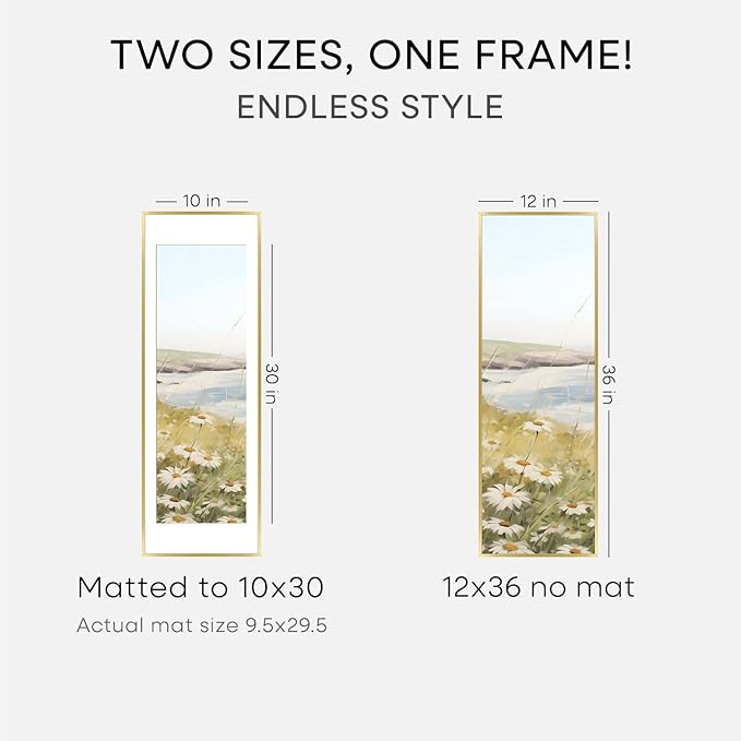 Homeforia 12x36 Picture Frame Gold, High End Metal 12x36 Poster Frames with Mat 10x30 inch Photo, 12 x 36 Gold Frames Matted to 10 by 30 Art, 36x12 Panoramic Frames, Tempered Glass, Wall Kit, Set of 2