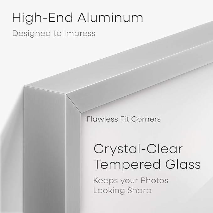 Homeforia 5x10 Business License Frame Silver, High End Metal 5 x 10 Document Certificate Frames with Mat 4x9, 5by10 Professional License Frames for Wall or Tabletop, Tempered Glass, Wall Kit, Set of 1