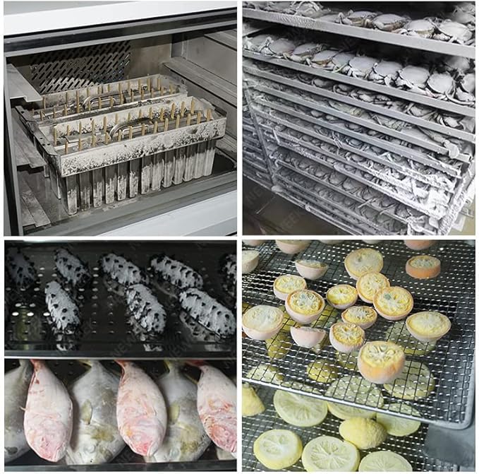 Kolice Commercial Heavy Duty 110V 60HZ 10 Trays Blast Chiller,Chest Freezer,Blast Freezer -40°F~+37.4°F,1200W for Dough,Fresh Meat,Chicken,Sea Food in Hotels,Bars,Cafes,Restaurant,Canteens