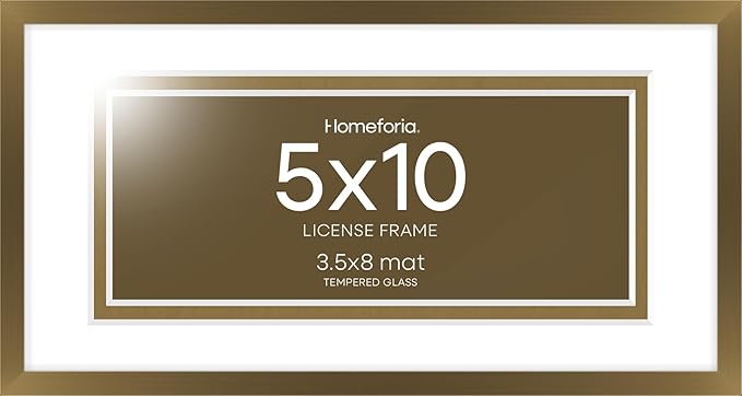 Homeforia 5x10 Business License Frame, High End Metal 5 x 10 Bronze Document Certificate Frames with Mat 4x9, 5by10 Professional License Frames for Wall or Tabletop, Tempered Glass, Wall Kit, Set of 1