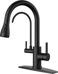 FORIOUS Kitchen Faucets with Purified Water, High Arc 2 Handle, 2-in-1 Pull by FORIOUS