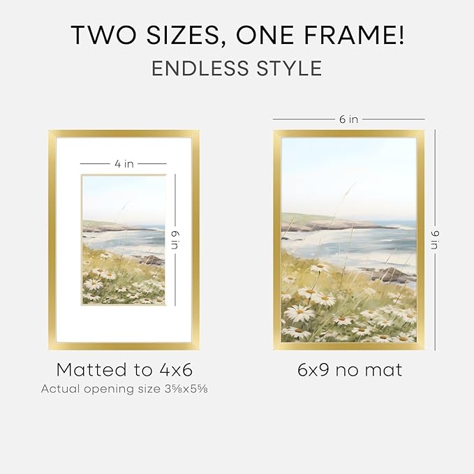 Homeforia 6x9 Picture Frame Gold, High End Metal 6 x 9 Frames with Mat 4 by 6 for Print, Photo Frame 6x9 Gold Matted to 4x6 inches Art, 6by9 Wall or Tabletop Frames, Tempered Glass, Wall Kit, Set of 2