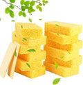 METUUTER Kitchen Sponges 12 Pack Natural Cellulose by METUUTER