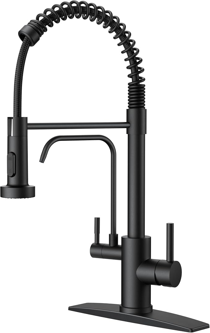 FORIOUS Black Kitchen Faucet by FORIOUS