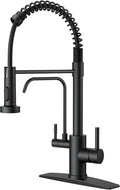 FORIOUS Black Kitchen Faucet by FORIOUS
