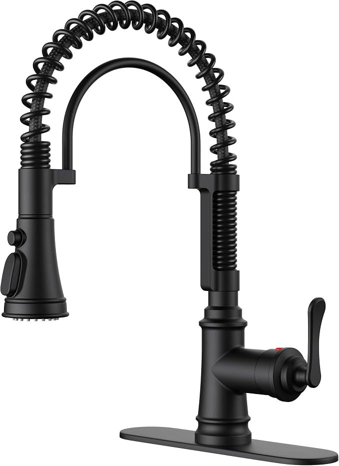 FORIOUS Black Kitchen Faucet by FORIOUS