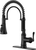 FORIOUS Black Kitchen Faucet by FORIOUS