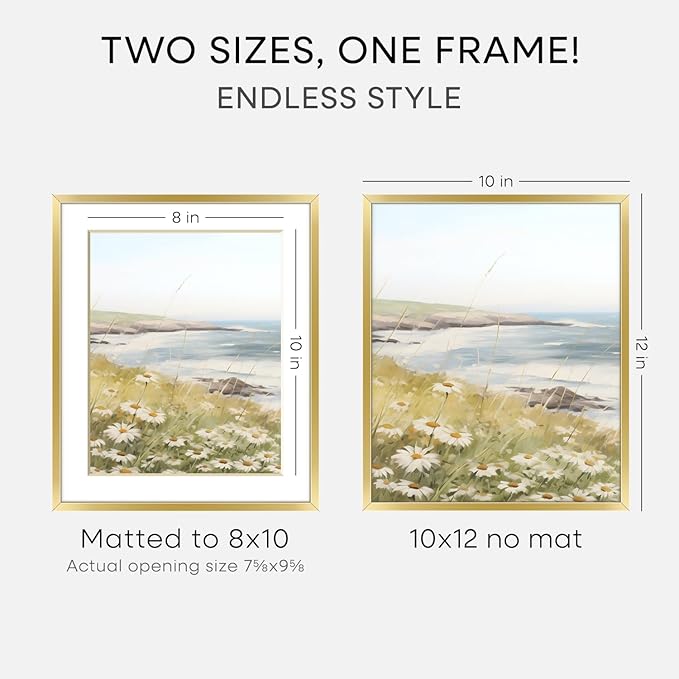 Homeforia 10x12 Picture Frame Gold, High End Metal 10x12 Poster Frames with Mat for 8x10, 10 x 12 Gold Frame Matted to 8 x 10 inch Photo, 10by12 Thin Hanging Frames, Tempered Glass, Wall Kit, Set of 3