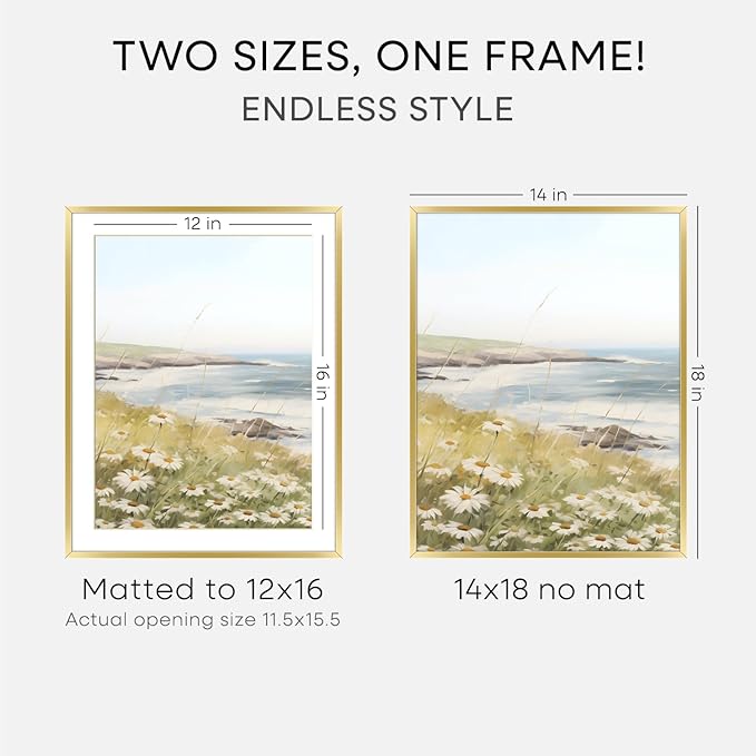 Homeforia 14x18 Picture Frame Gold, High End Metal 14x18 Poster Frames with Mat 12x16 Photo, 14 x 18 Gold Frame Matted to 12 by 16 Print, 18by14 Thin Hanging Frames, Tempered Glass, Wall Kit, Set of 2