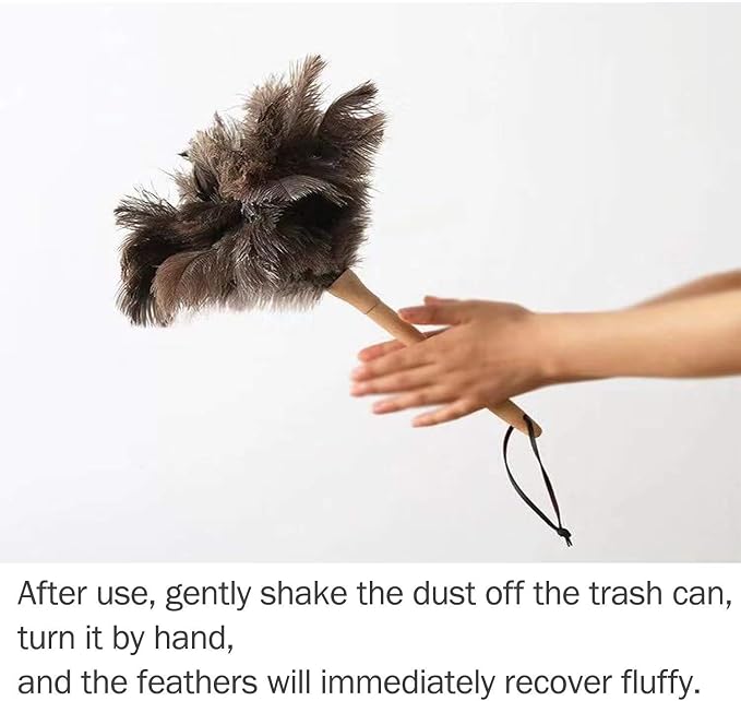 DDZMZ Ostrich Feather Duster for Cleaning - Image 5