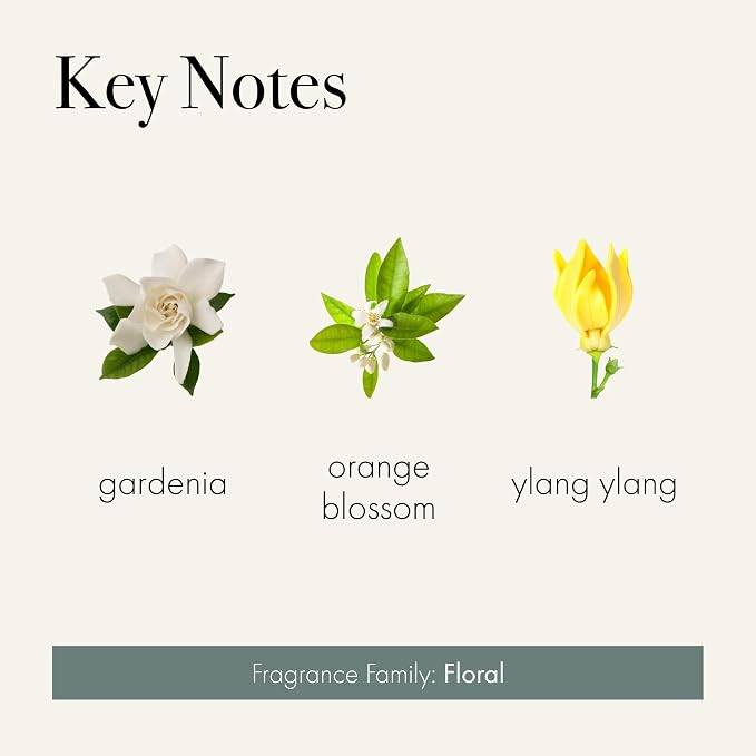 LAFCO New York Scented Linen Sachet, Fresh Cut Gardenia - Image 3