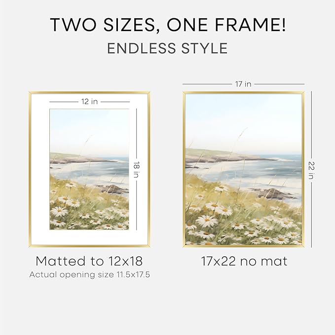 Homeforia 17x22 Picture Frame Gold, High End Metal 17x22 Poster Frames with Mat 12x18 Photo, 17 x 22 Gold Frame Matted to 12 by 18 Print, 22by17 Thin Hanging Frames, Tempered Glass, Wall Kit, Set of 2