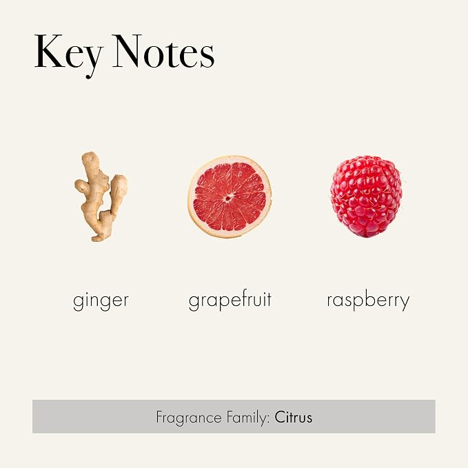 LAFCO New York Scented Linen Sachet, Champagne - Image 3